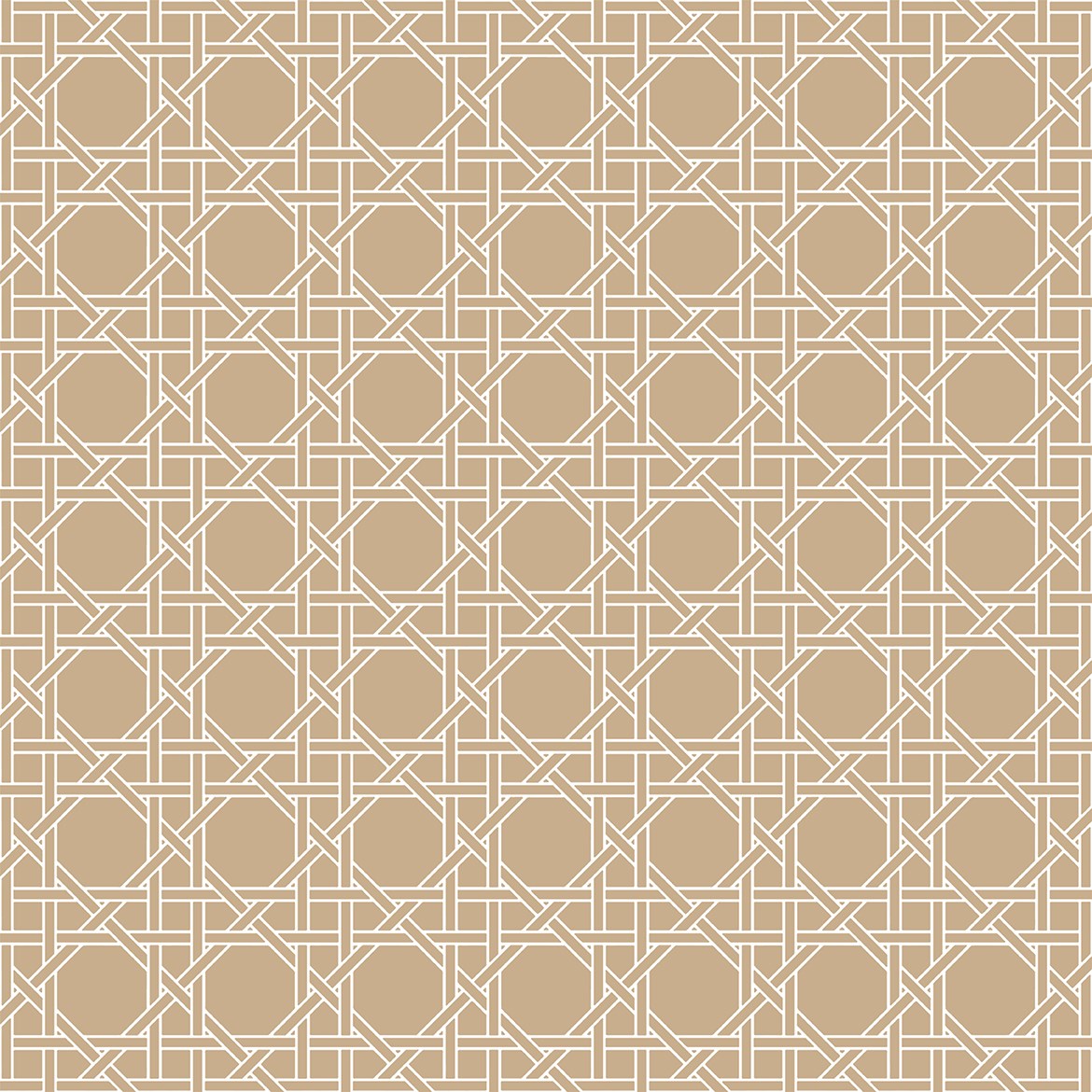 Sublime Trellis Raffia Acrylic Tray 15x15 medium square