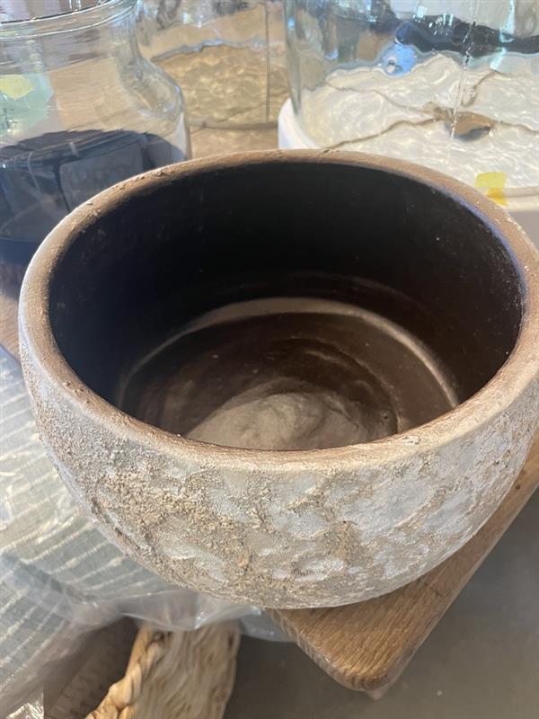 Bela Arie Bowl