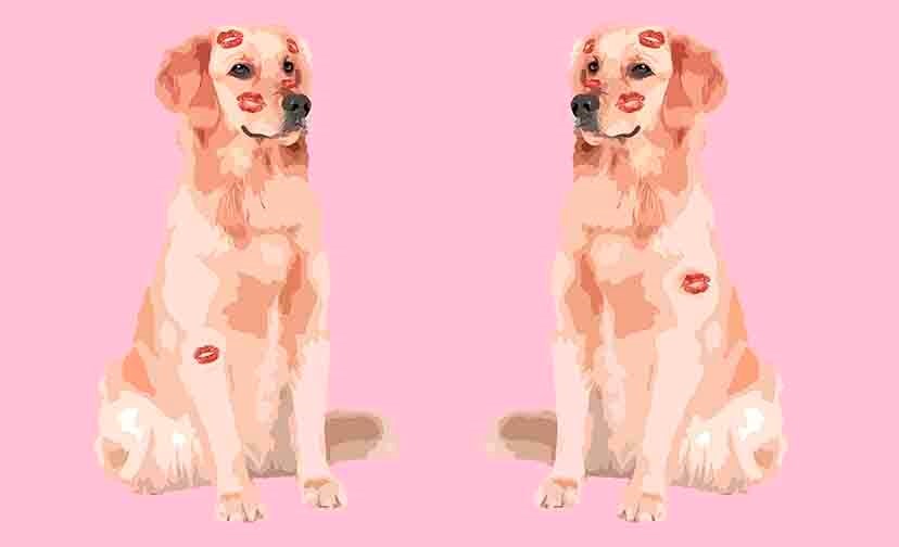 Dog Love Acrylic Vanity Tray 12.25" x 7.75"