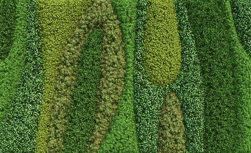 Living Wall Acrylic Tray 17x10.5 medium rectangle