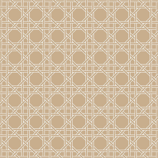 Sublime Trellis Raffia Acrylic Tray 15x15 medium square