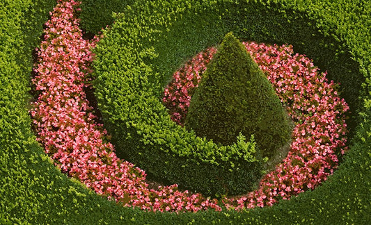 Begonia Swirl Acrylic Tray 22.5x14.5 large rectangle