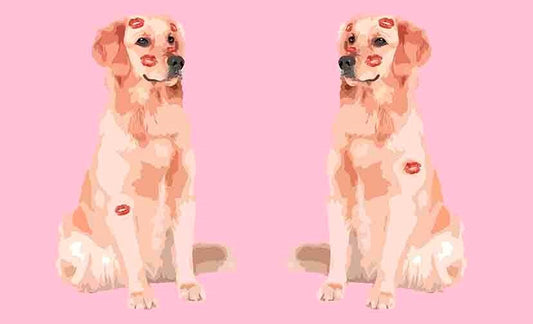 Dog Love Acrylic Vanity Tray 12.25" x 7.75"