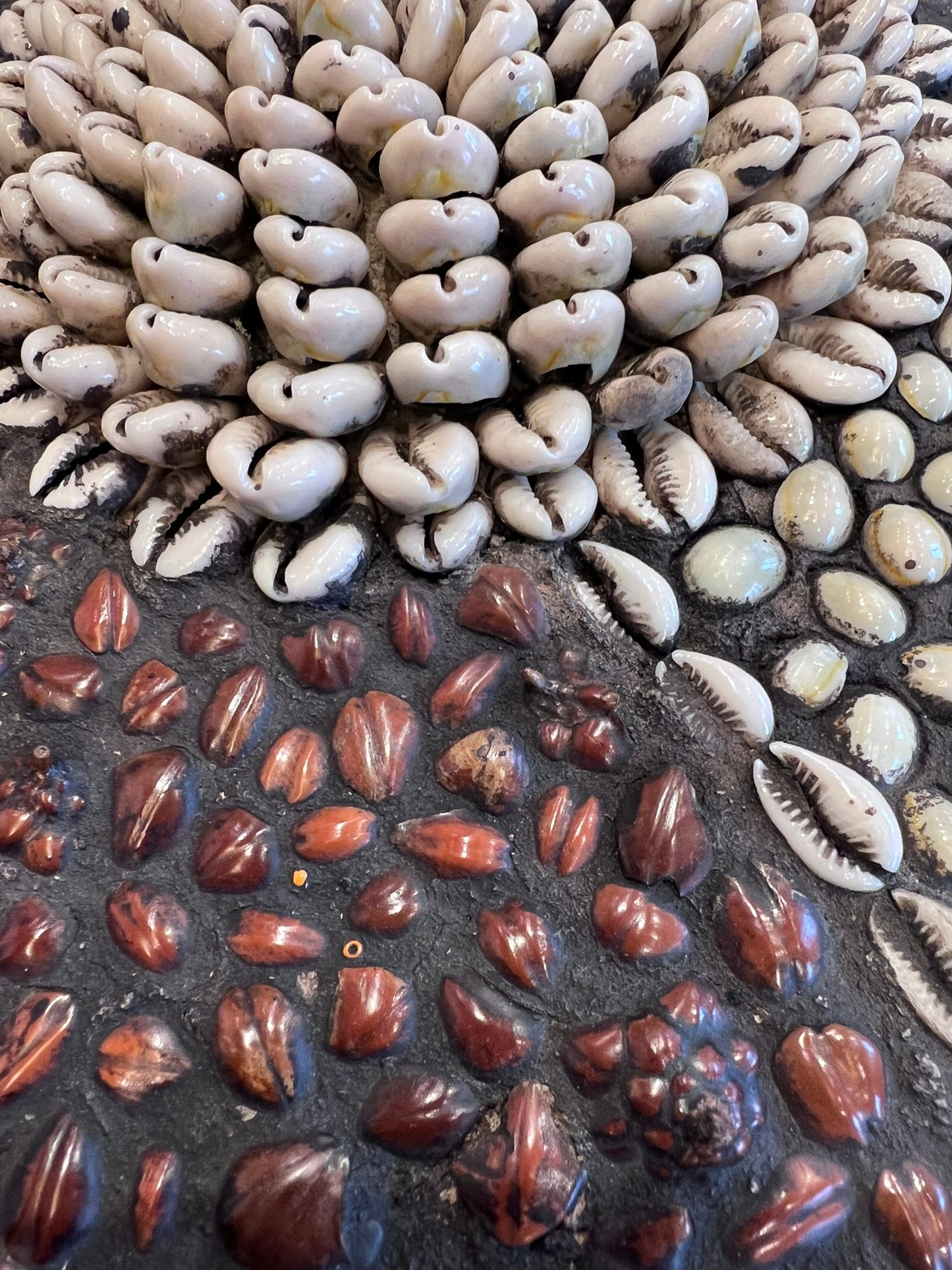 Moroccan Shell Shield Wall Art