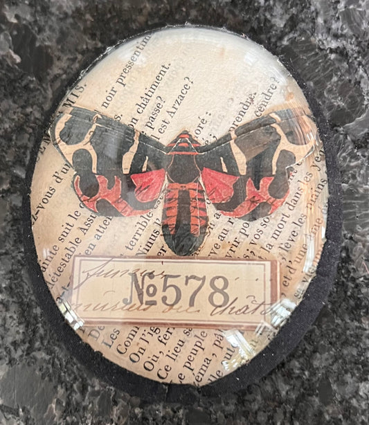 French Oval Ephemera Collage – Glass Framed Wall Art with Insect Motif, 3”