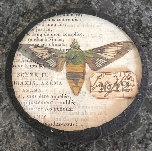 French Round Ephemera Collage – Glass Framed Wall Art with Insect Motif, 3”