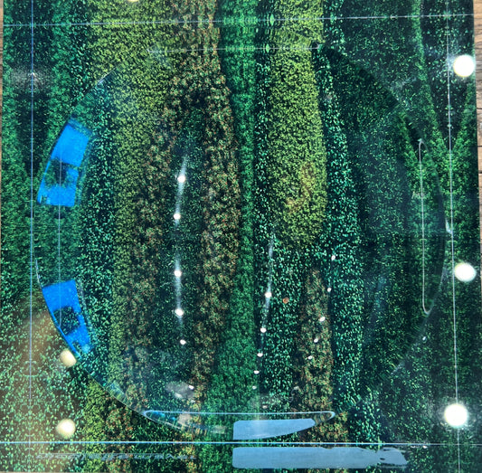 Living Wall Acrylic Candy Dish 6x6