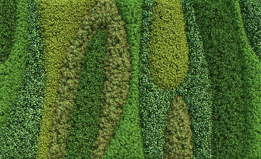 Living Wall Acrylic Tray 17x10.5 medium rectangle