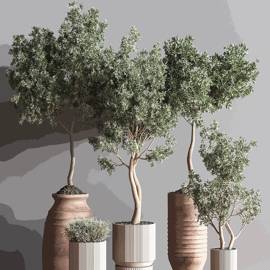 Olive Trees Acrylic Tray 18x18 large square