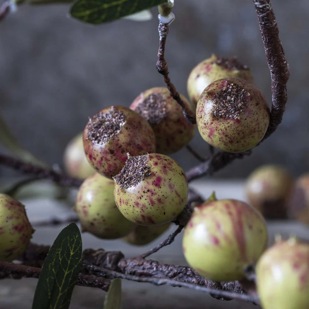 Artificial Rosehip, Dappled