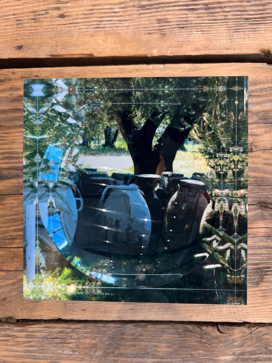 Groves Acrylic Candy Dish 6x6