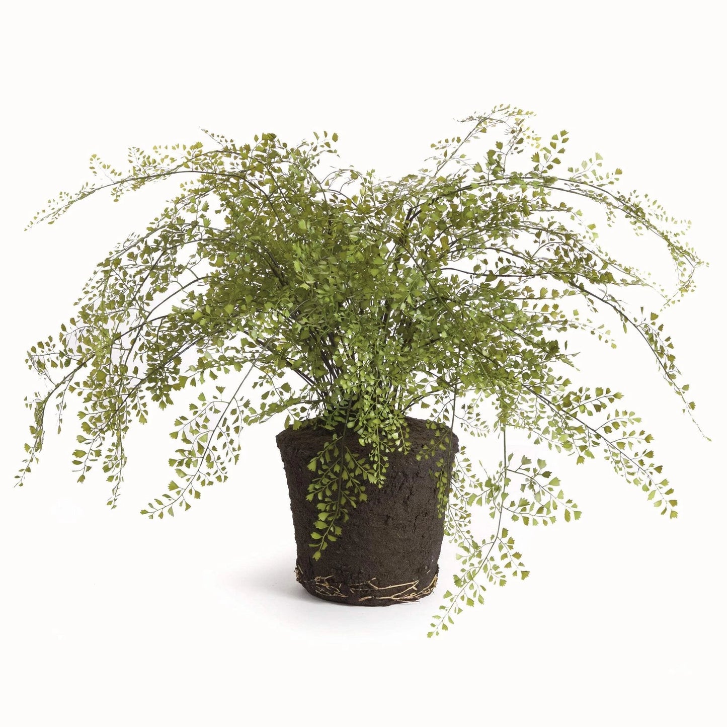 Maidenhair Fern 37" Drop-In